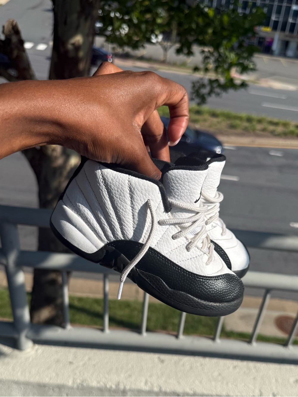 🚕Retro Jordan 12s
